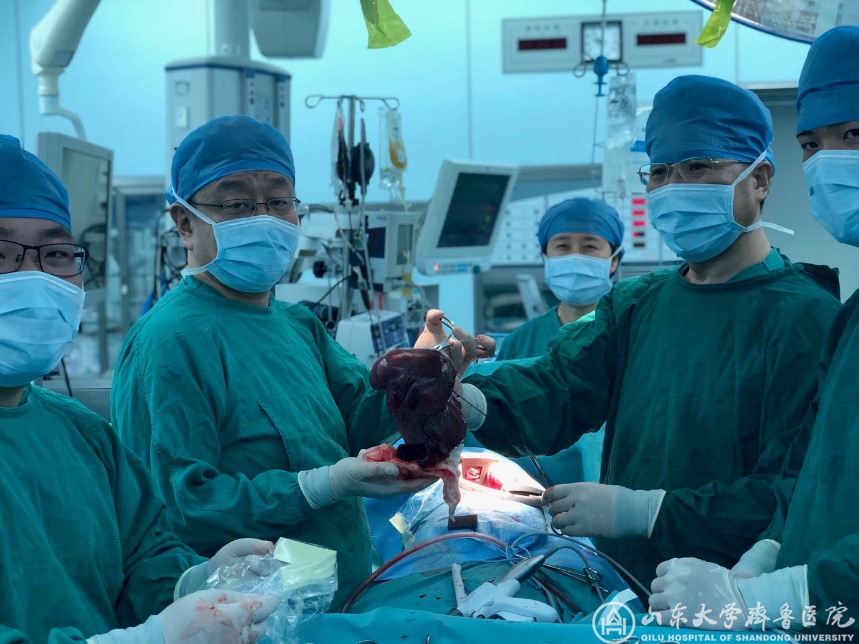 MDT与ECMO强强联手,绿帽社