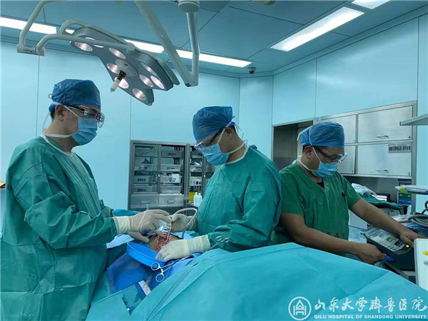 【阻击疫情,绿帽社